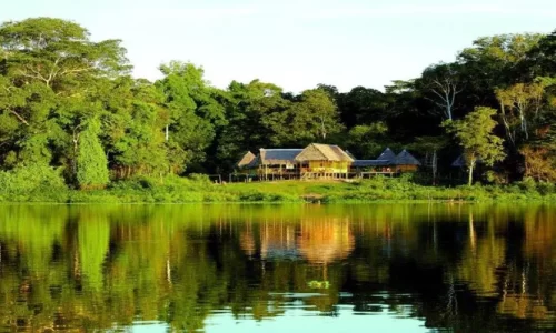 Lago zungarococha
