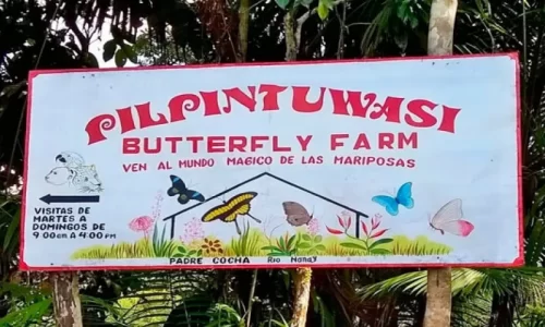 Mariposario Pilpintuwasi