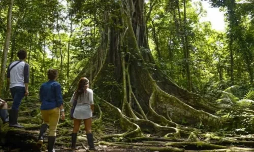 Reserva Nacional Allpahuayo Mishana